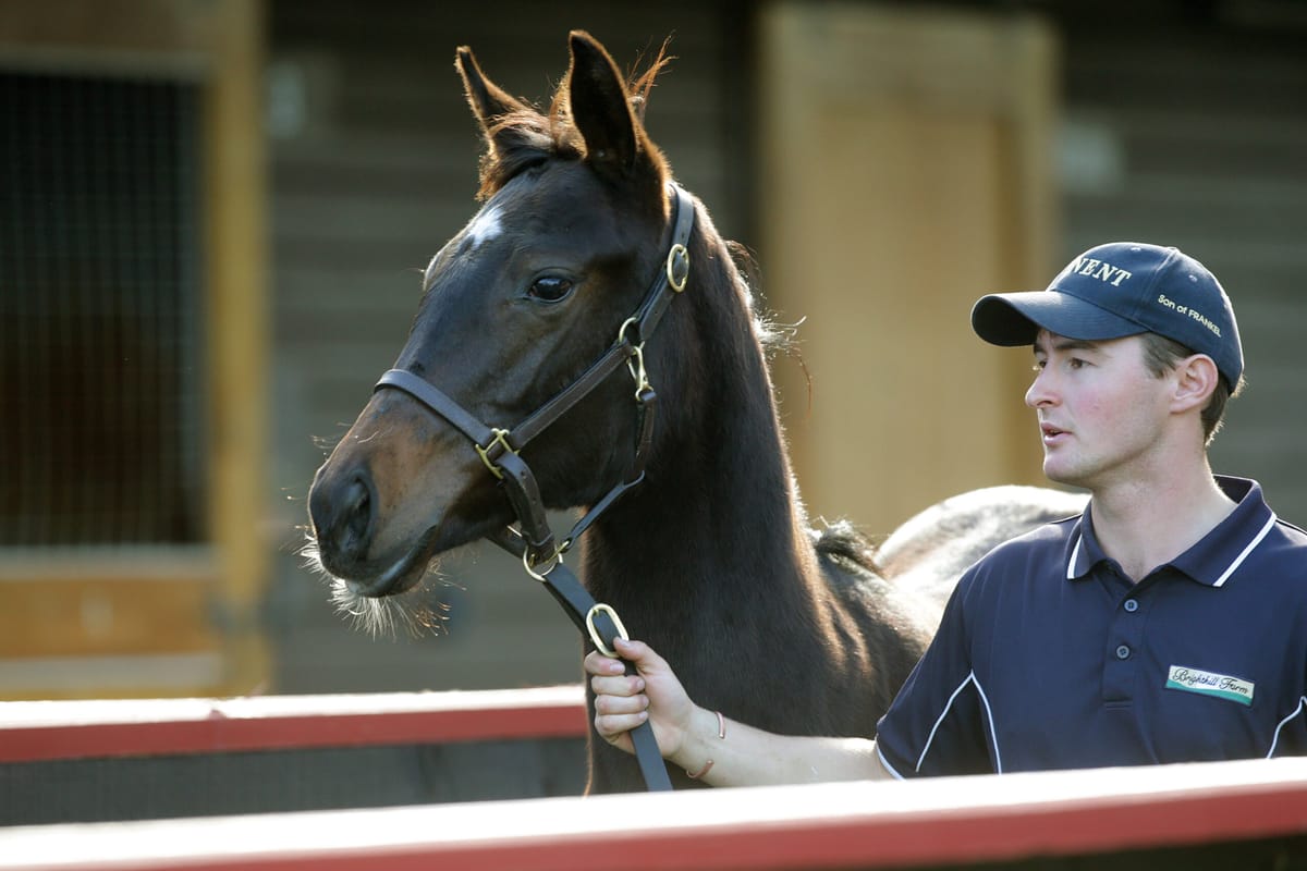 King accepted for Godolphin Flying Start