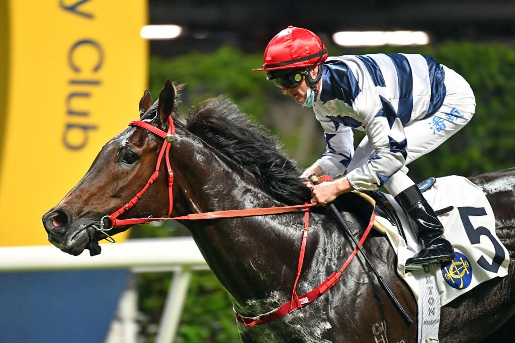 Kiwi-breds impress at Happy Valley