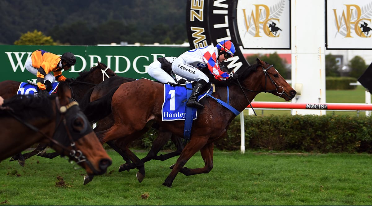 Spring Tide bounces back to winning form at Trentham