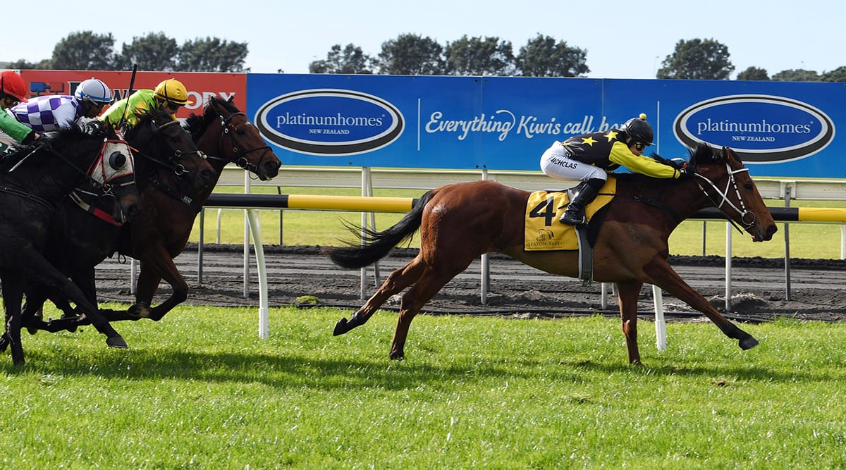 Quirky customer starting to hit his straps for Bidlake