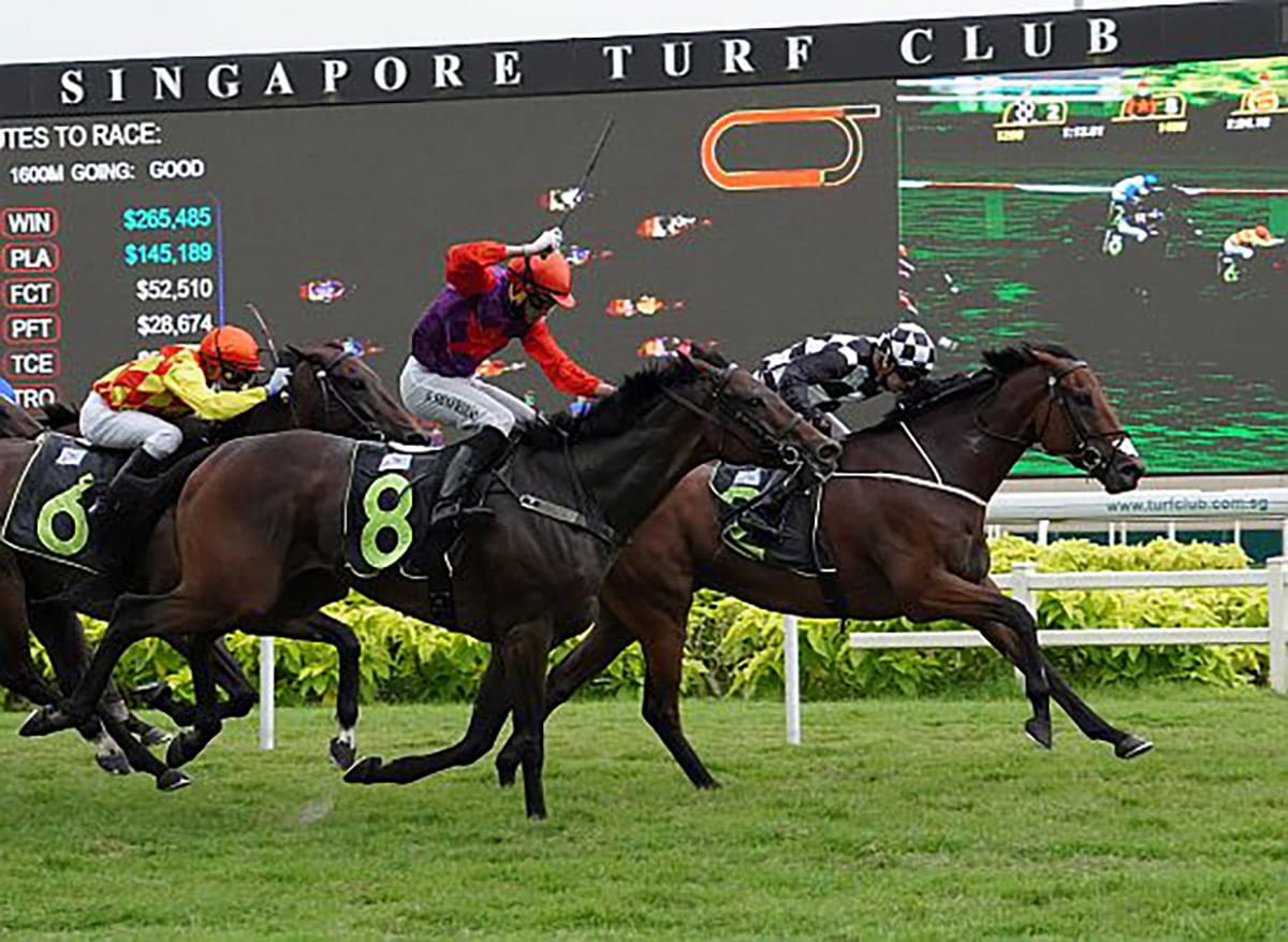 Savvy Command skips Stewards' Cup, but stays on Derby trail