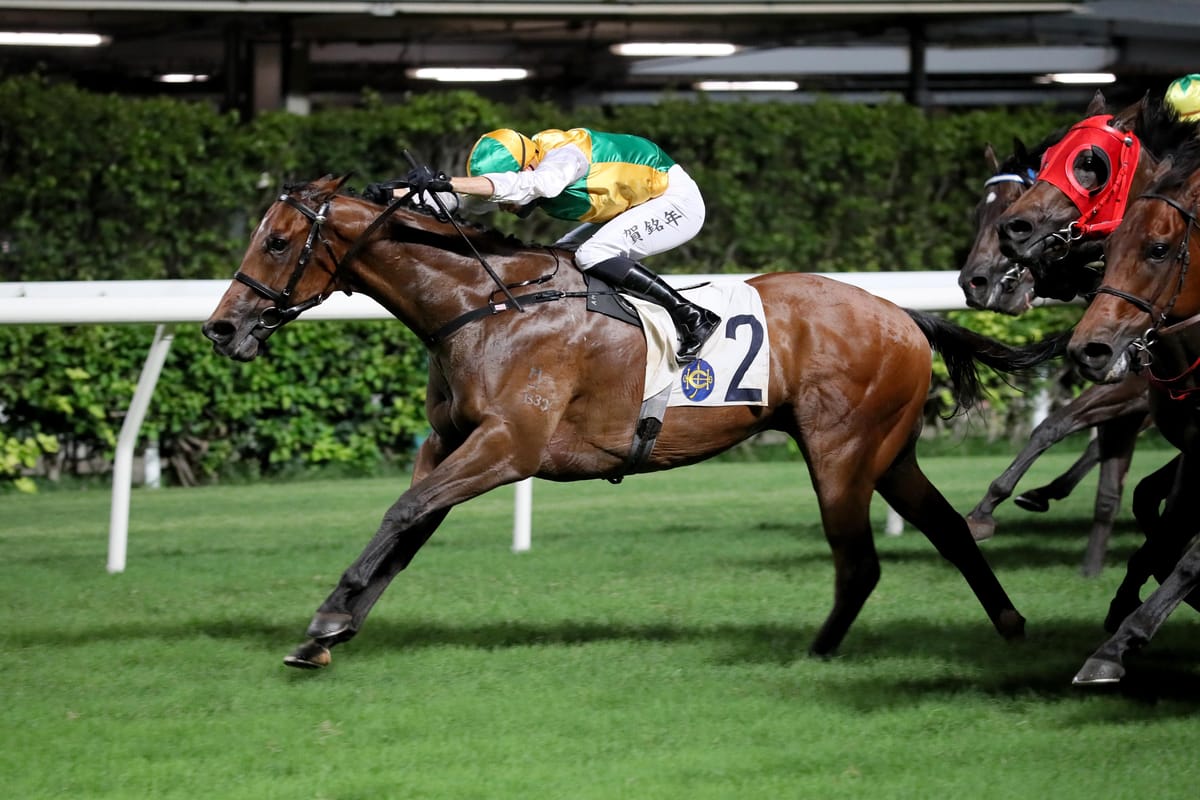 Sparkling Dragon seeks back to back wins