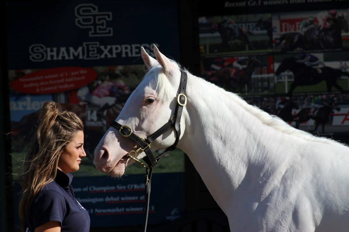 Mary Lynne Ryan Young Achiever Award