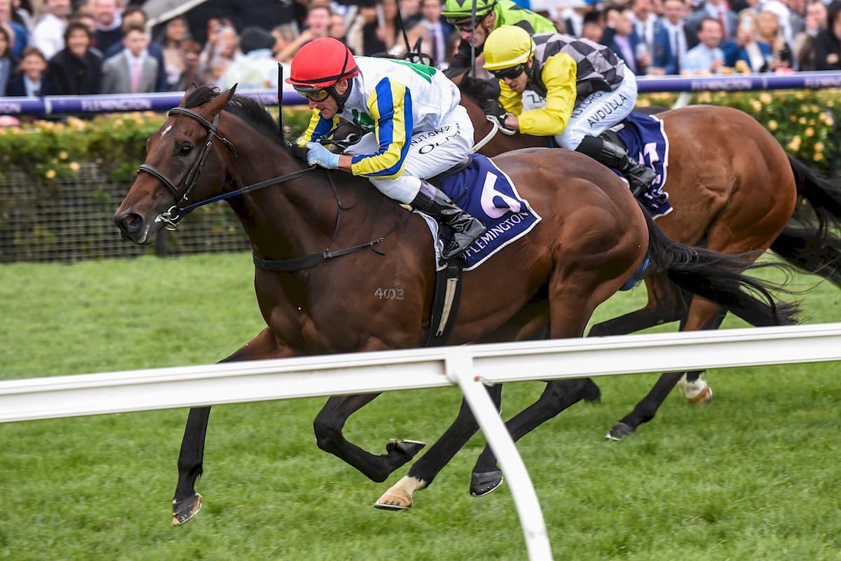 Banquo joins Waikato Stud stallion roster