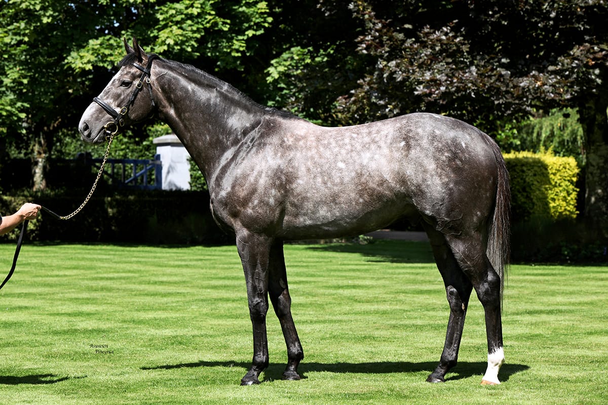 Mastercraftsman dies aged 15