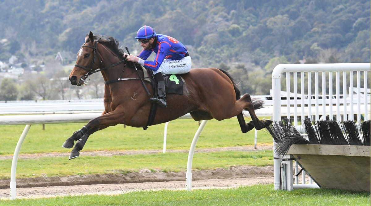 Exciting hurdler English Gambler set to resume