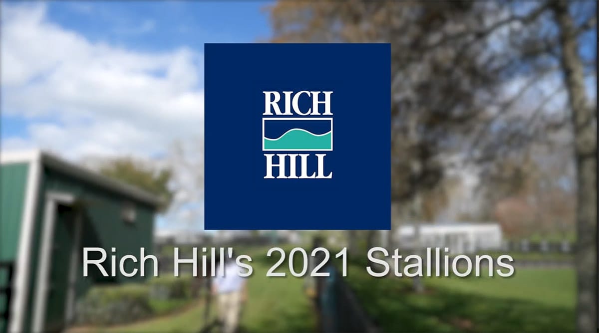 VIDEO: Rich Hill Stud stallion parade