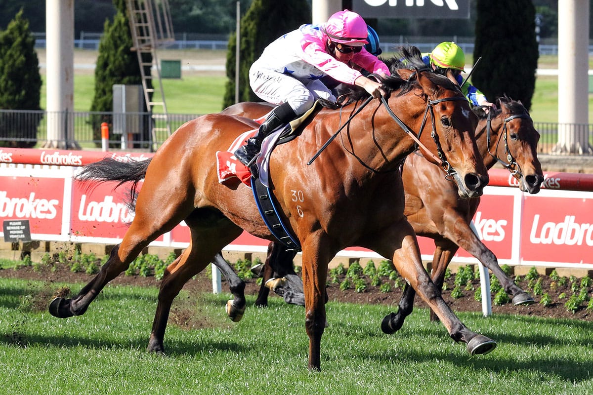 Brown looking for Inferno spark