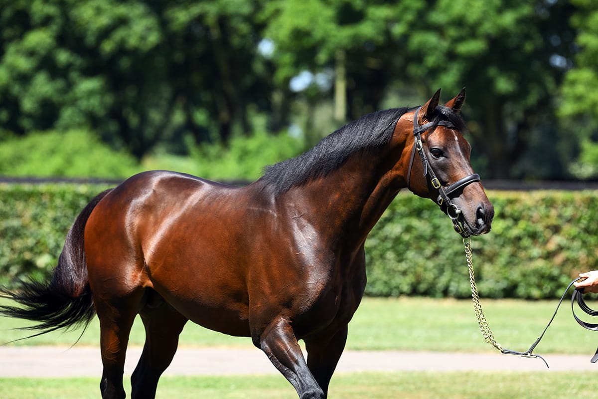 First Group winner for Time Test