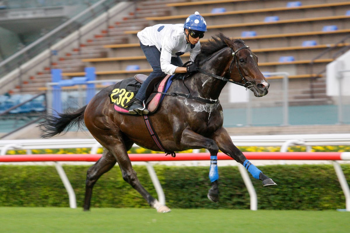 Golden Sixty tracks towards Group 2 Jockey Club Mile return