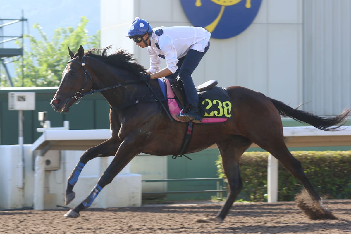 Golden Sixty warms up on a huge morning of trials