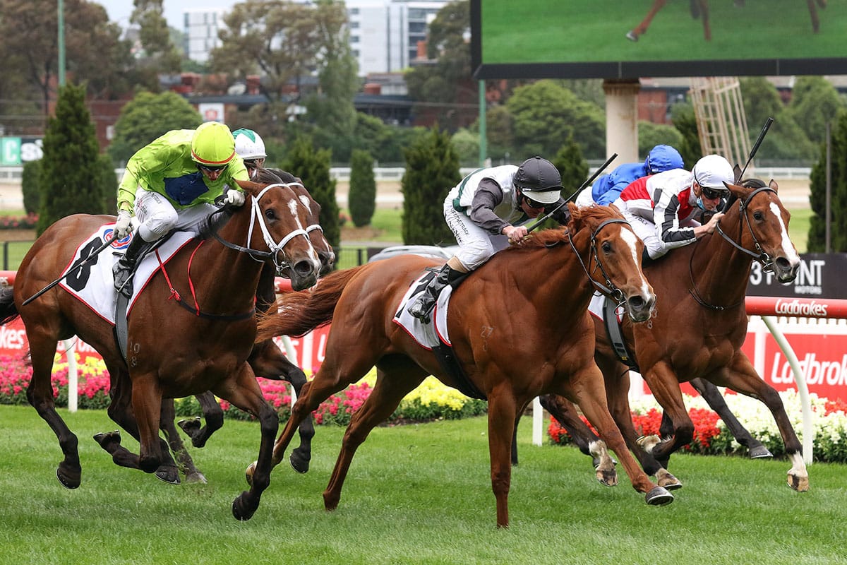 Lindsay Park puts faith in Dream Queen