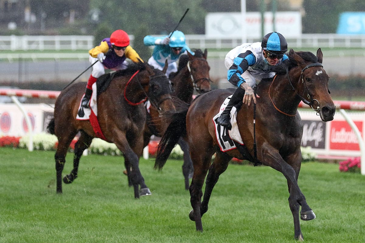 Flying Mascot in search of bonus