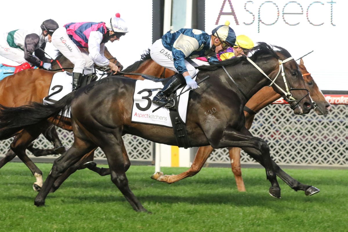 Forgot You to kick off at The Valley