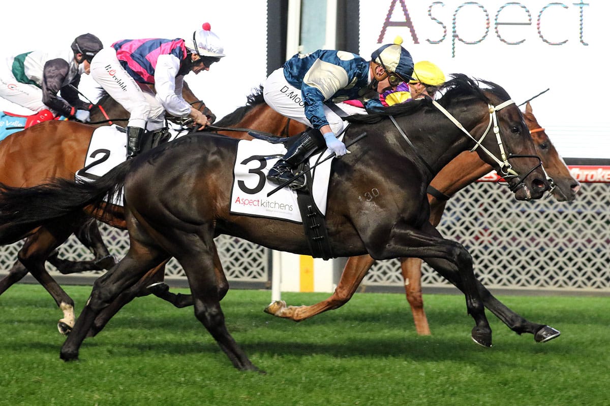 Forgot You to Cox Plate?