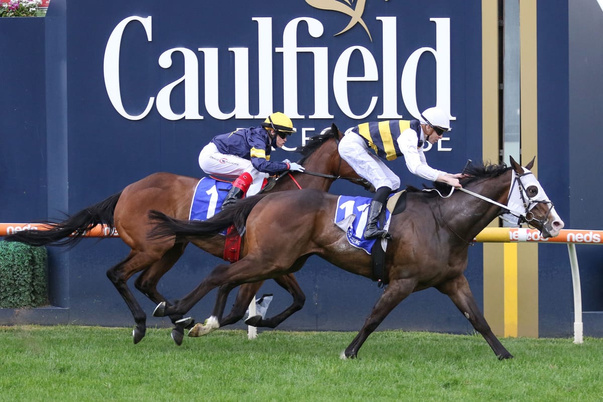 I’m Thunderstruck set for busy spring