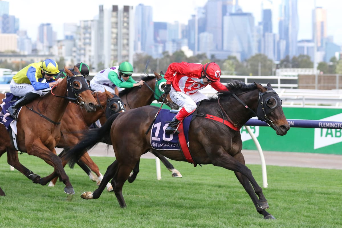 Payne eyes Cup payday with $6k buy