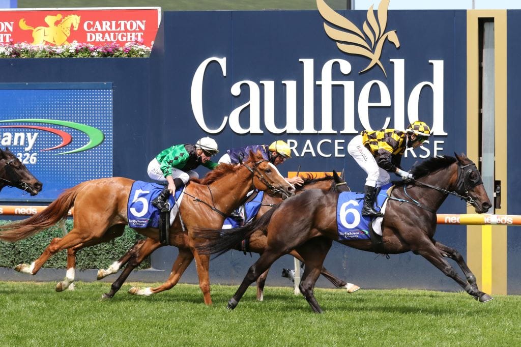 Kahma Lass joins Freedman barn