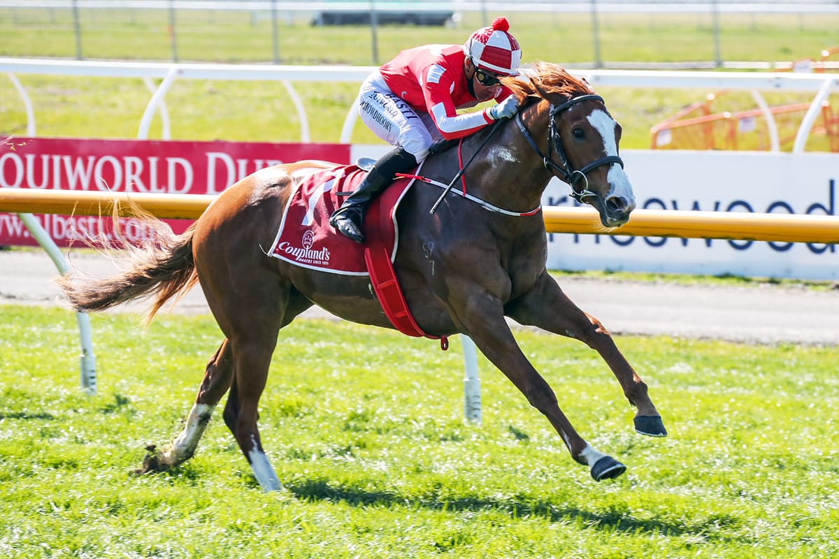 Miss Tycoon Rose sets special mark for Pitman