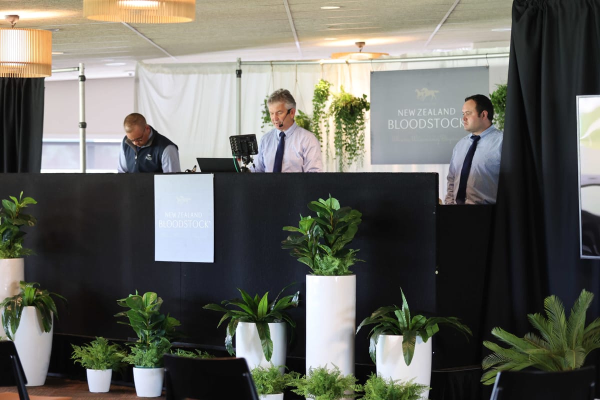 Market Strength Accelerates on Day One of Ready to Run Sale