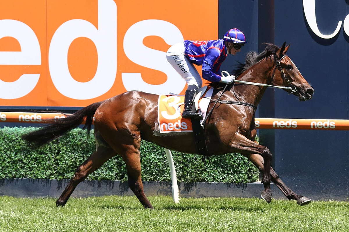 Ayrton nearing a comeback