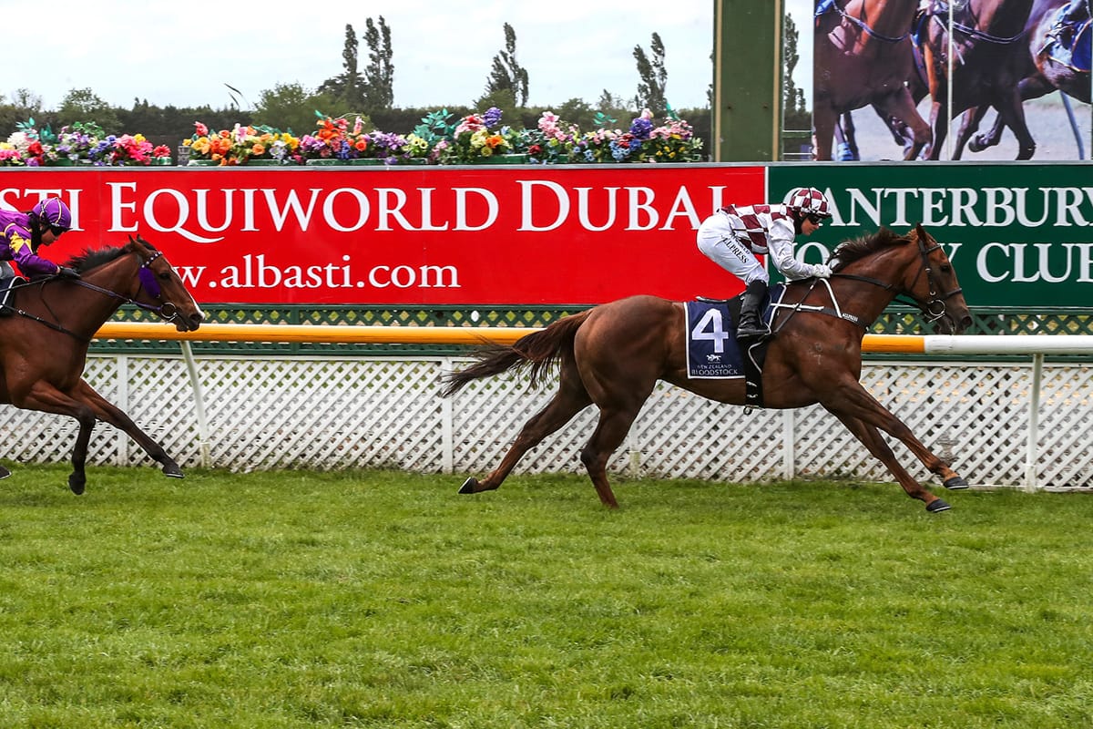 Cambridge trainer hoping to have his Foote in the till at Te Rapa