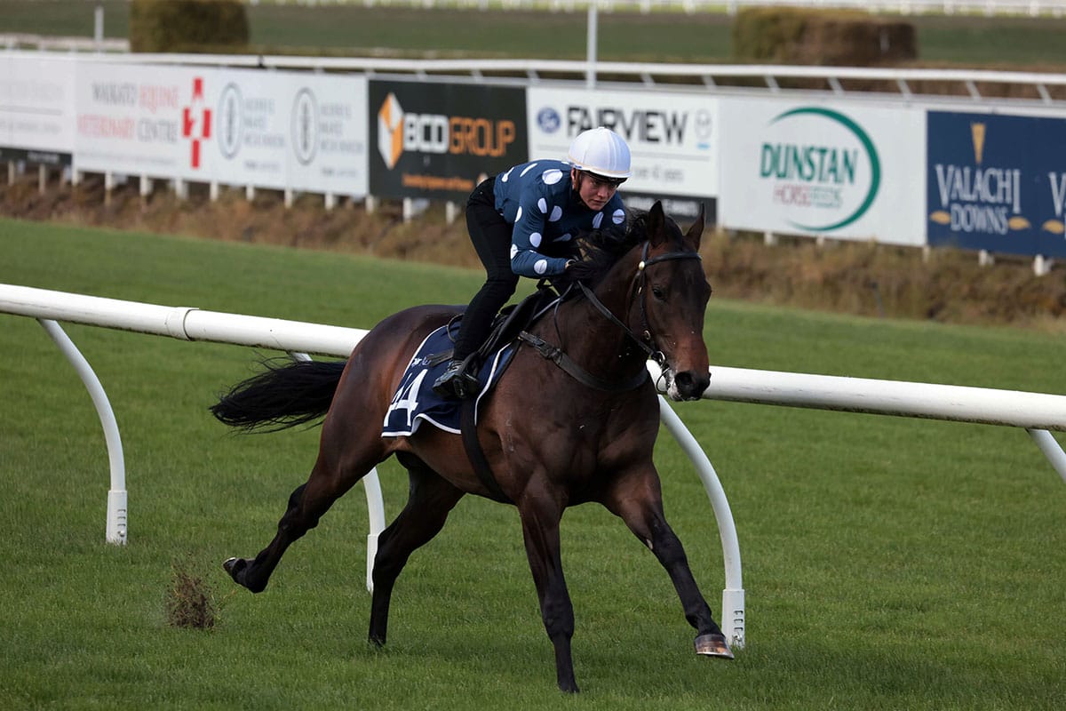 Deep Field colt Hong Kong bound