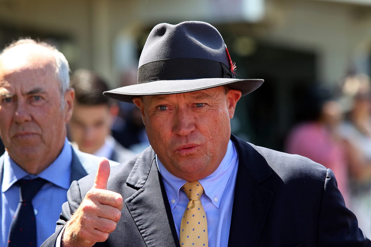 McEvoy makes successful play for Almanzor colt