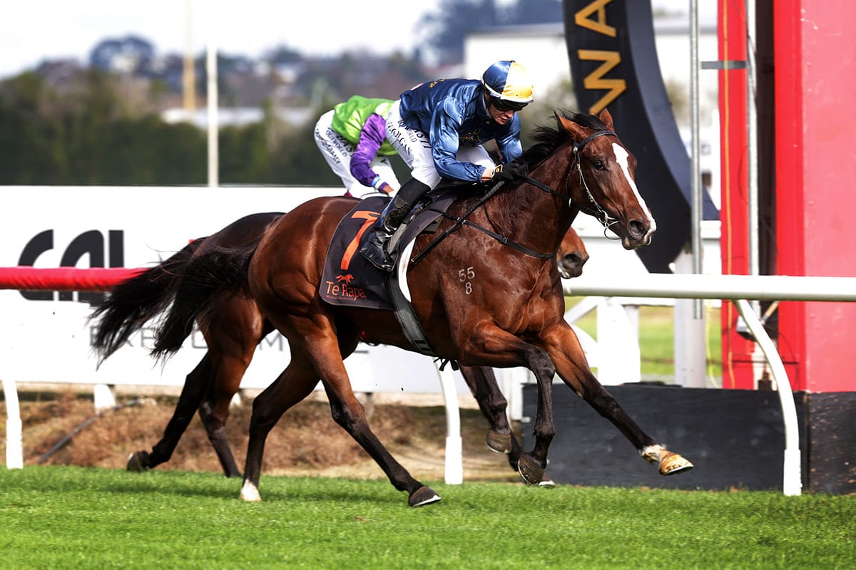 <strong>Take two for Mustang Valley</strong>