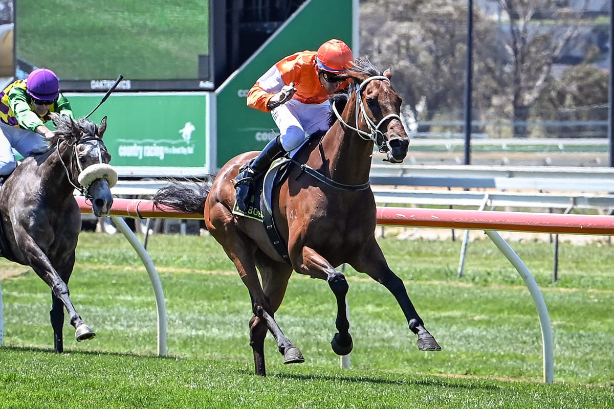 Kelly's Jericho dream realised