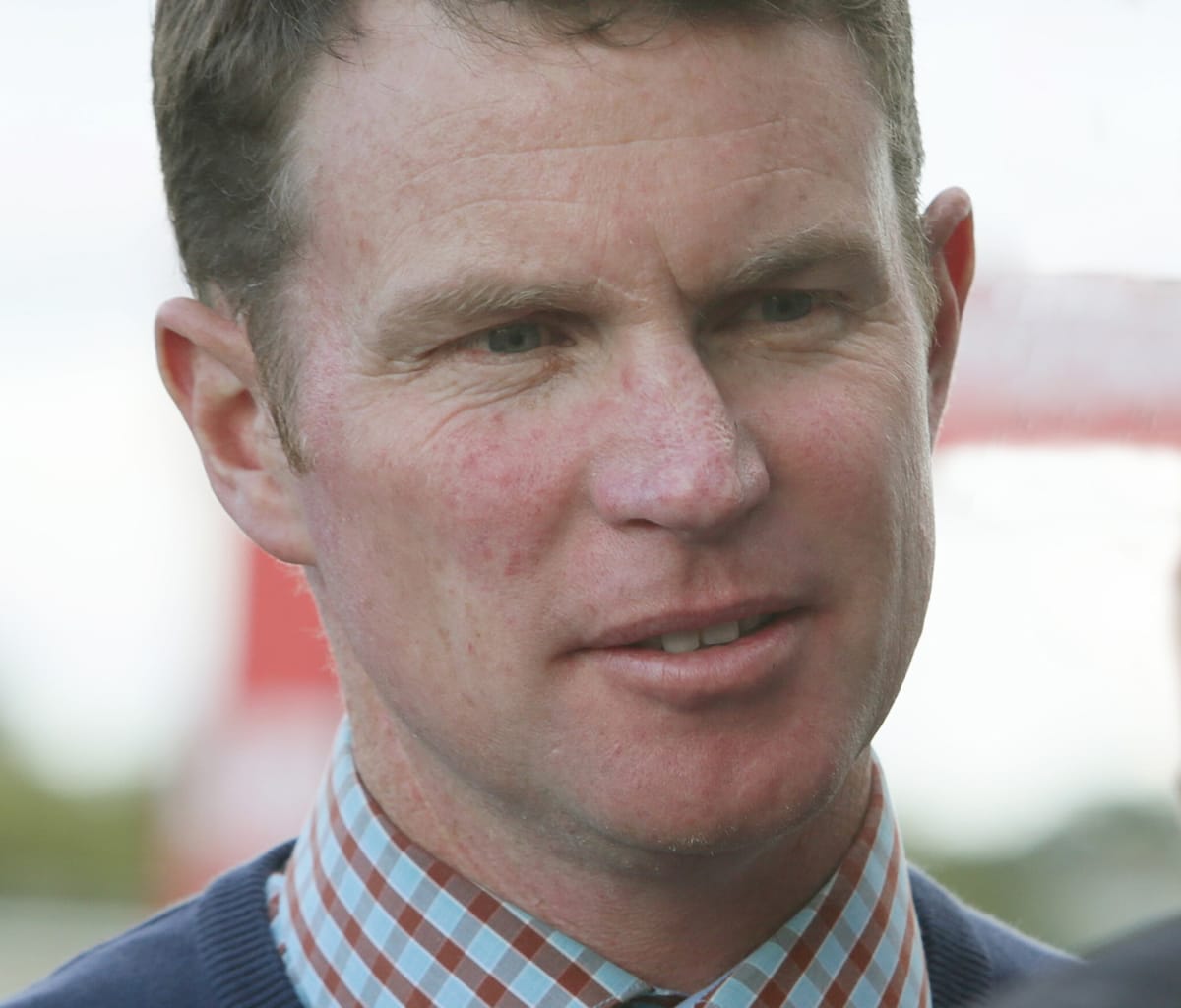 Ellerslie likely for Wexford debutant