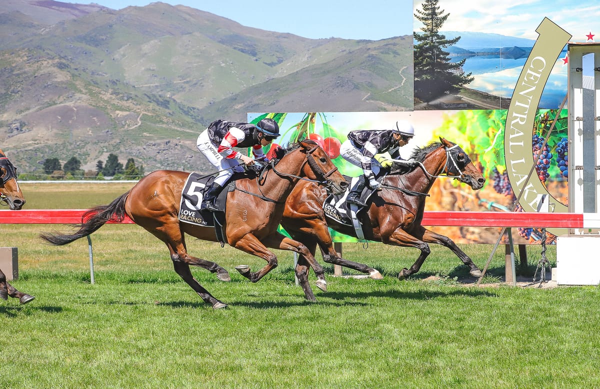 No travel restrictions for Wannabe ‘N’ Paris despite Trentham setback