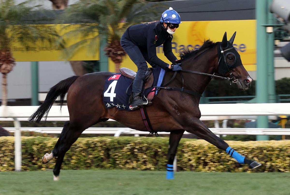 Golden Sixty primed for Hong Kong Mile defence