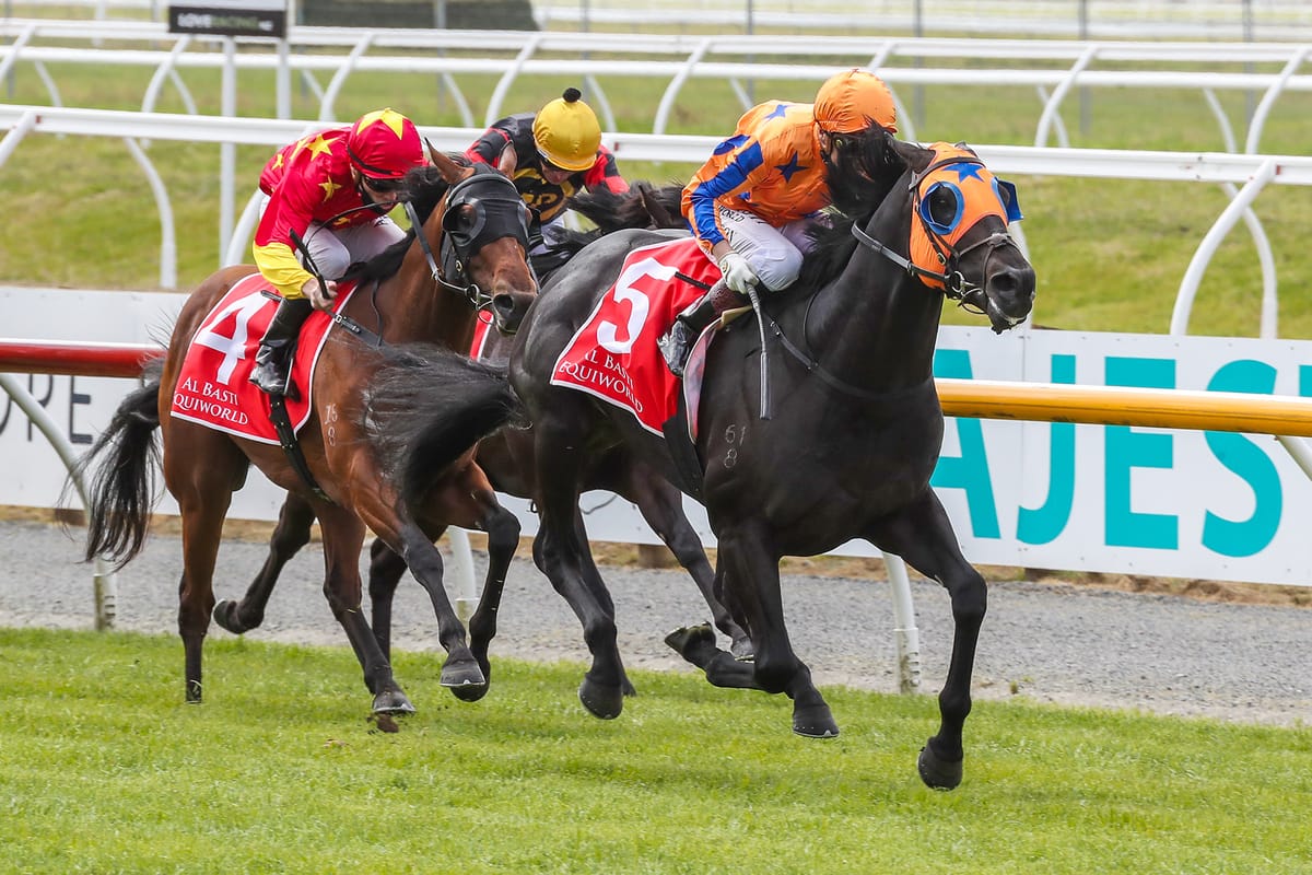 New Zealand 2000 Guineas winner retired