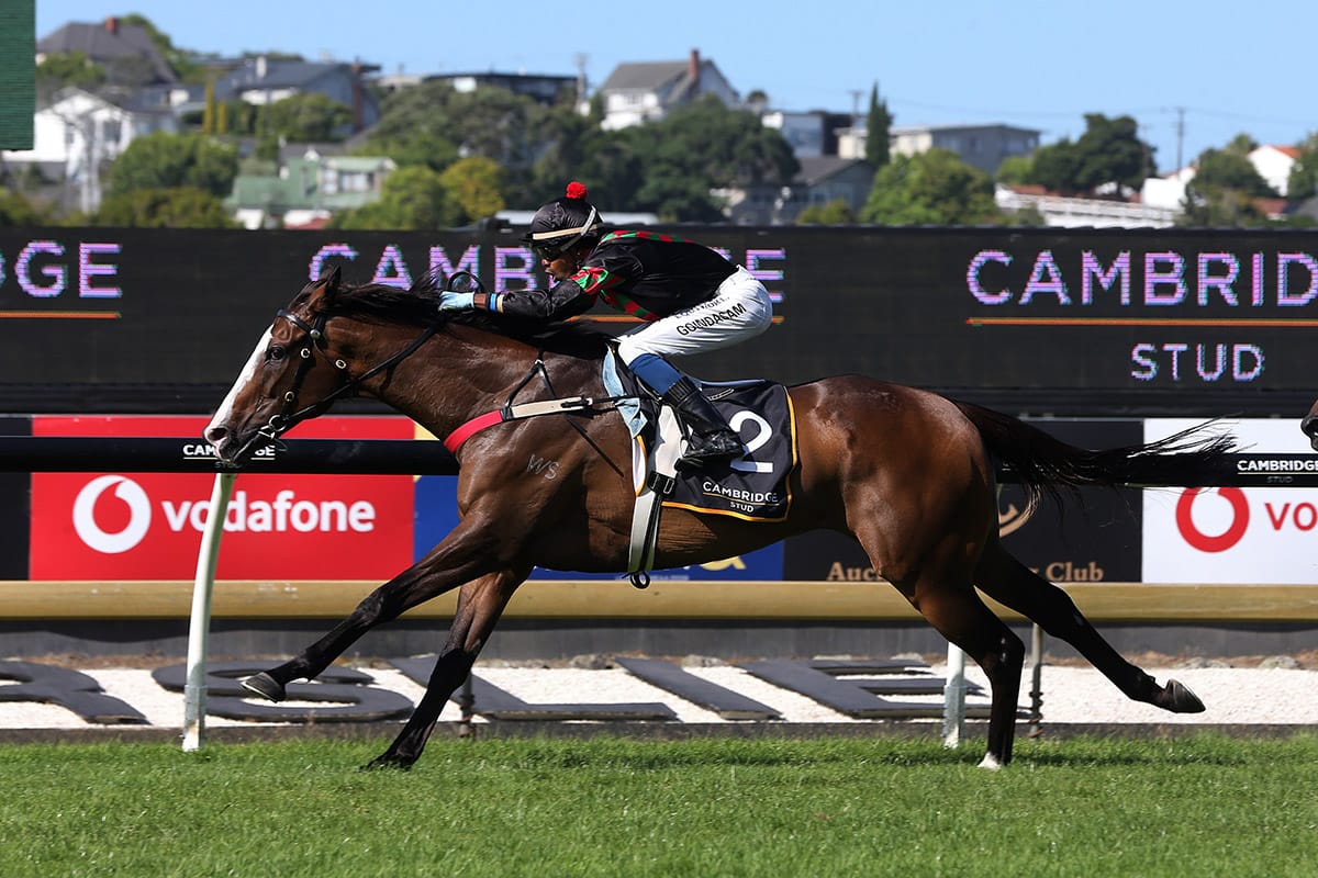 Warhorse Tiptronic triumphs in Zabeel Classic