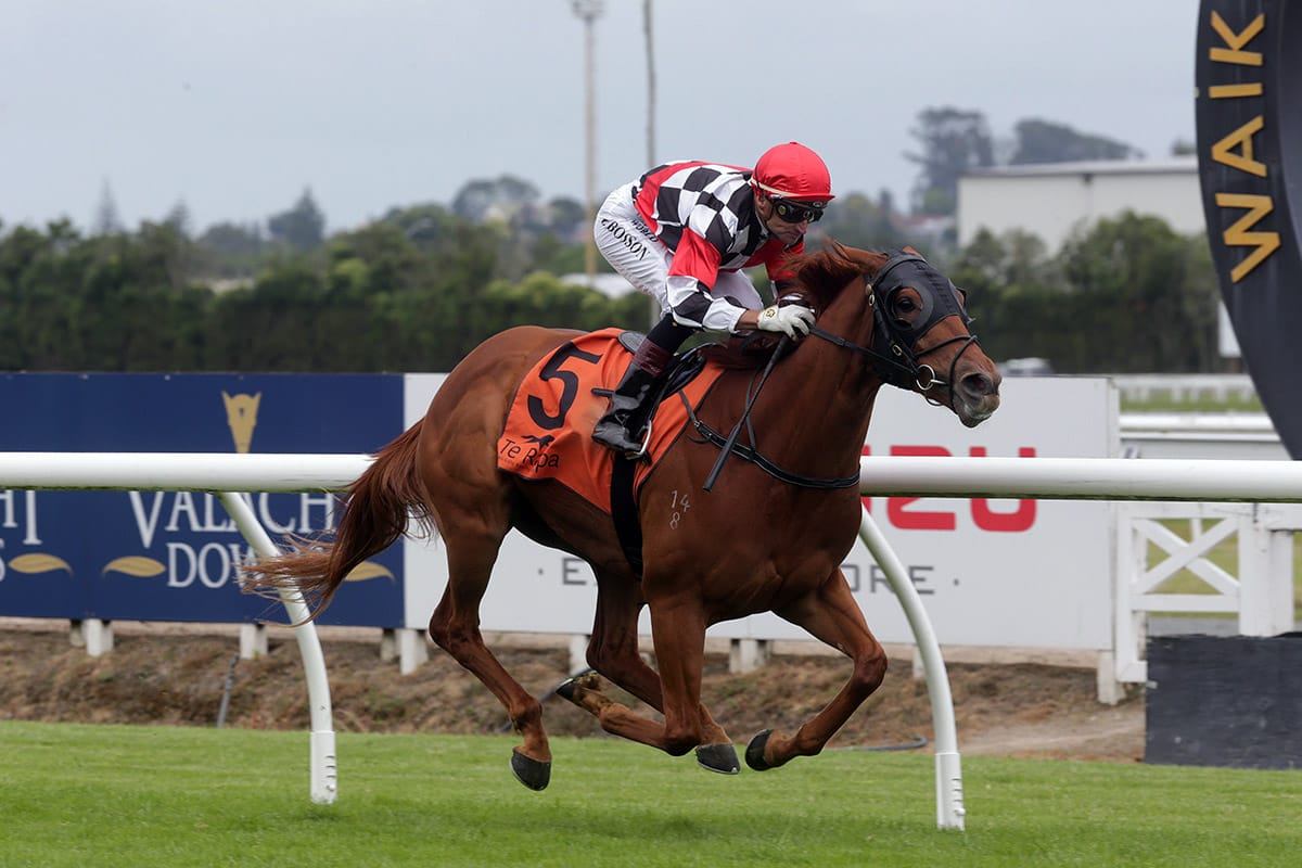 Wewillrock ready for Randwick challenge