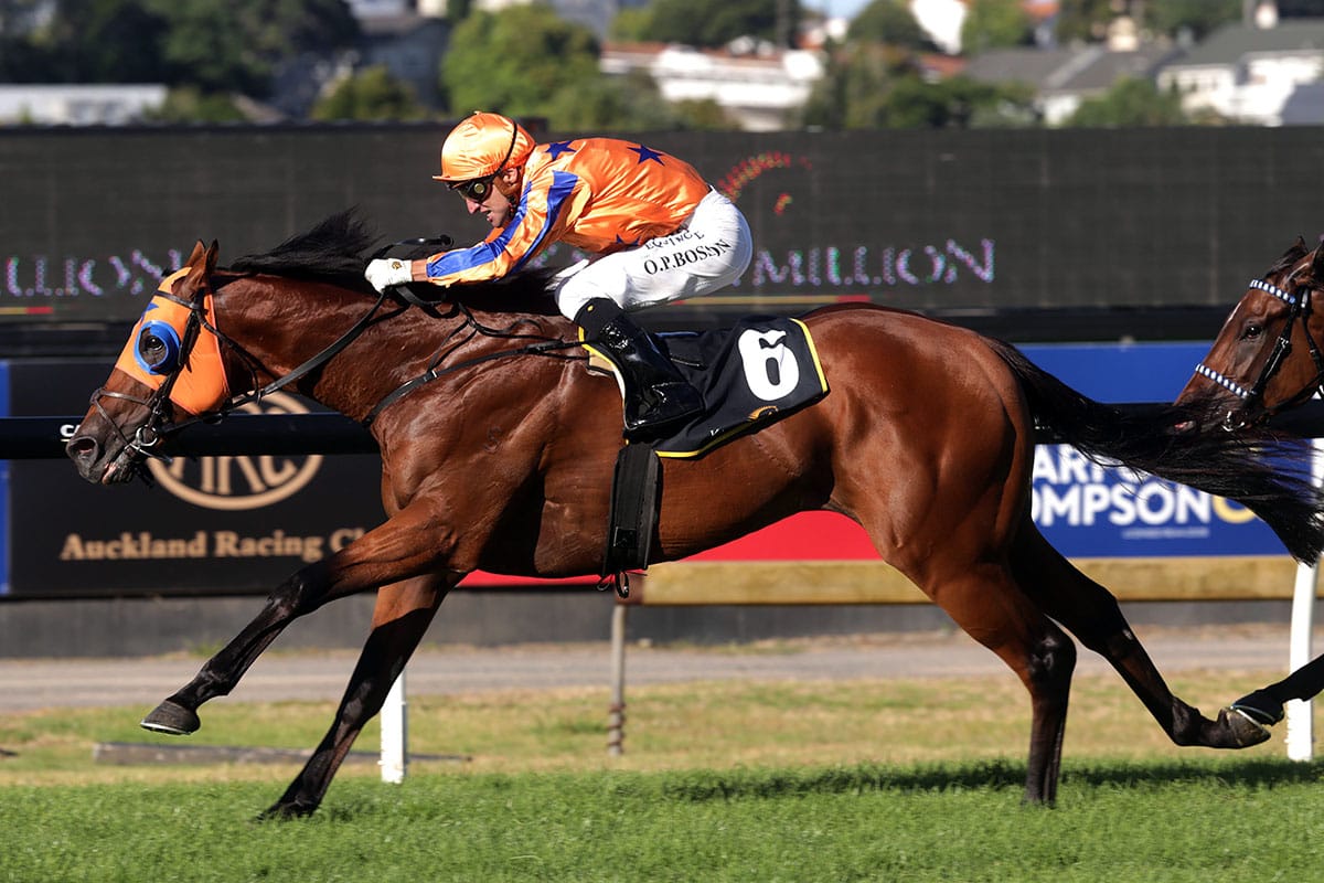 Bosson and Te Akau Racing take Karaka Million 2YO