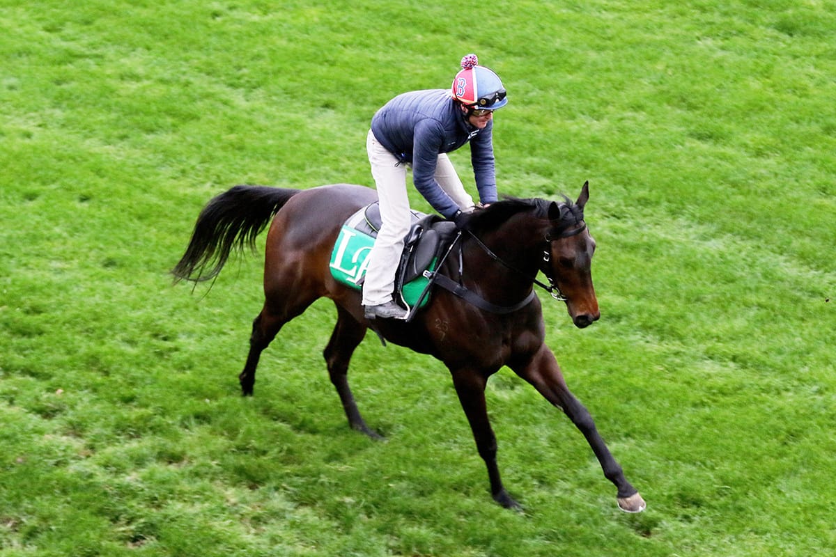 Hayes looks on the Brightside