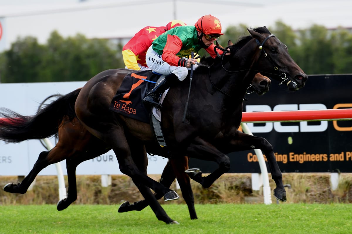 Trelawney lose talented galloper