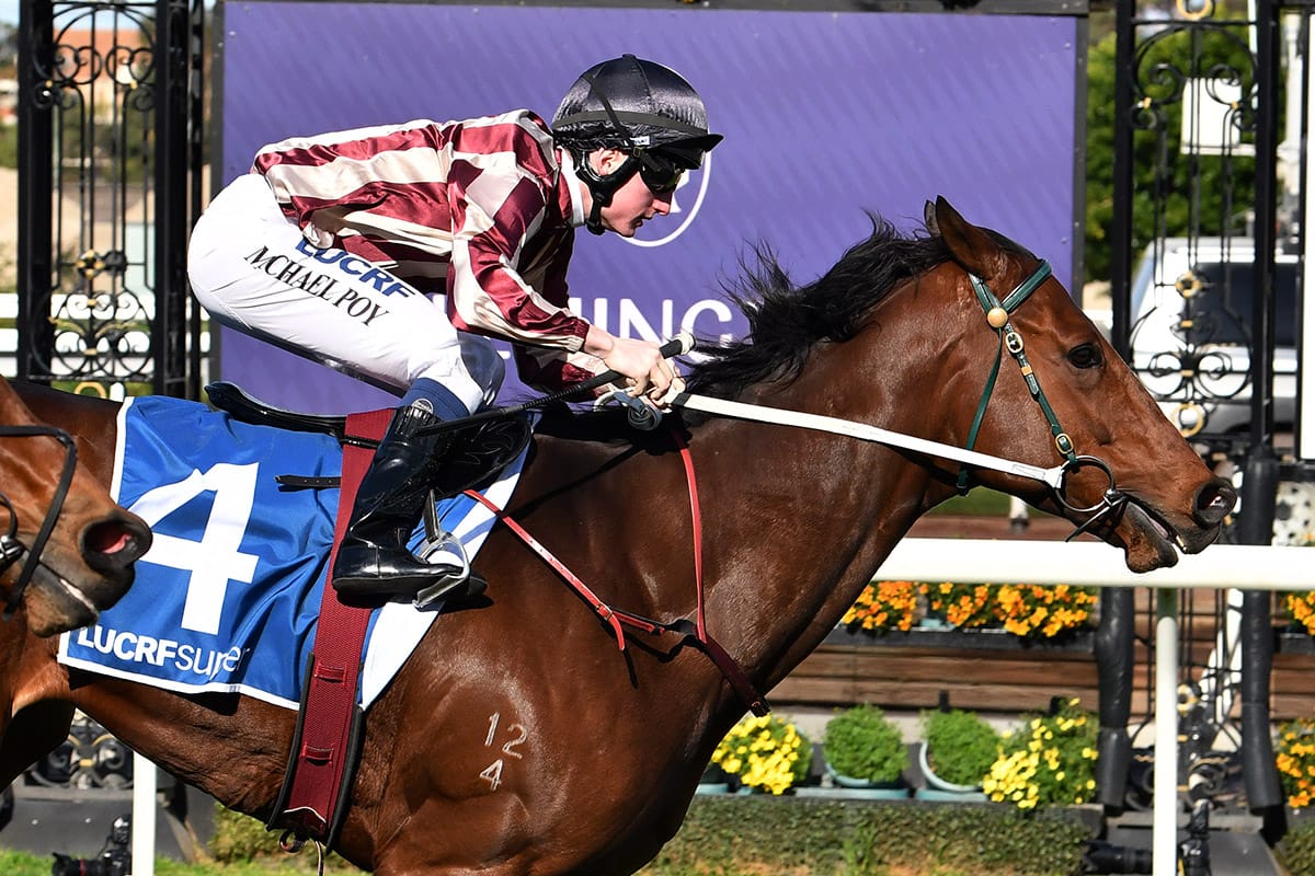 Clarken plots next steps