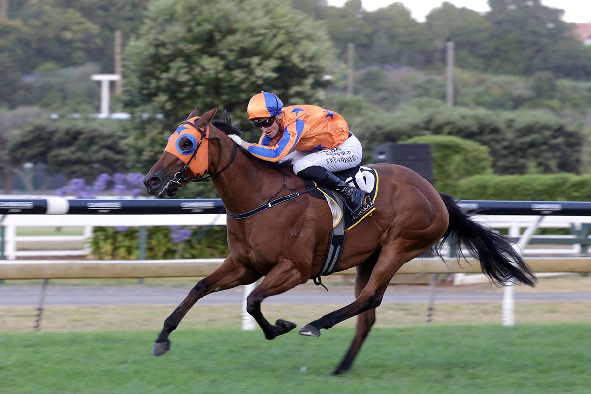 Richards collects another Karaka Million feature