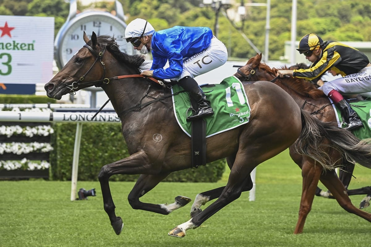 Ribchester on the board with Randwick winner