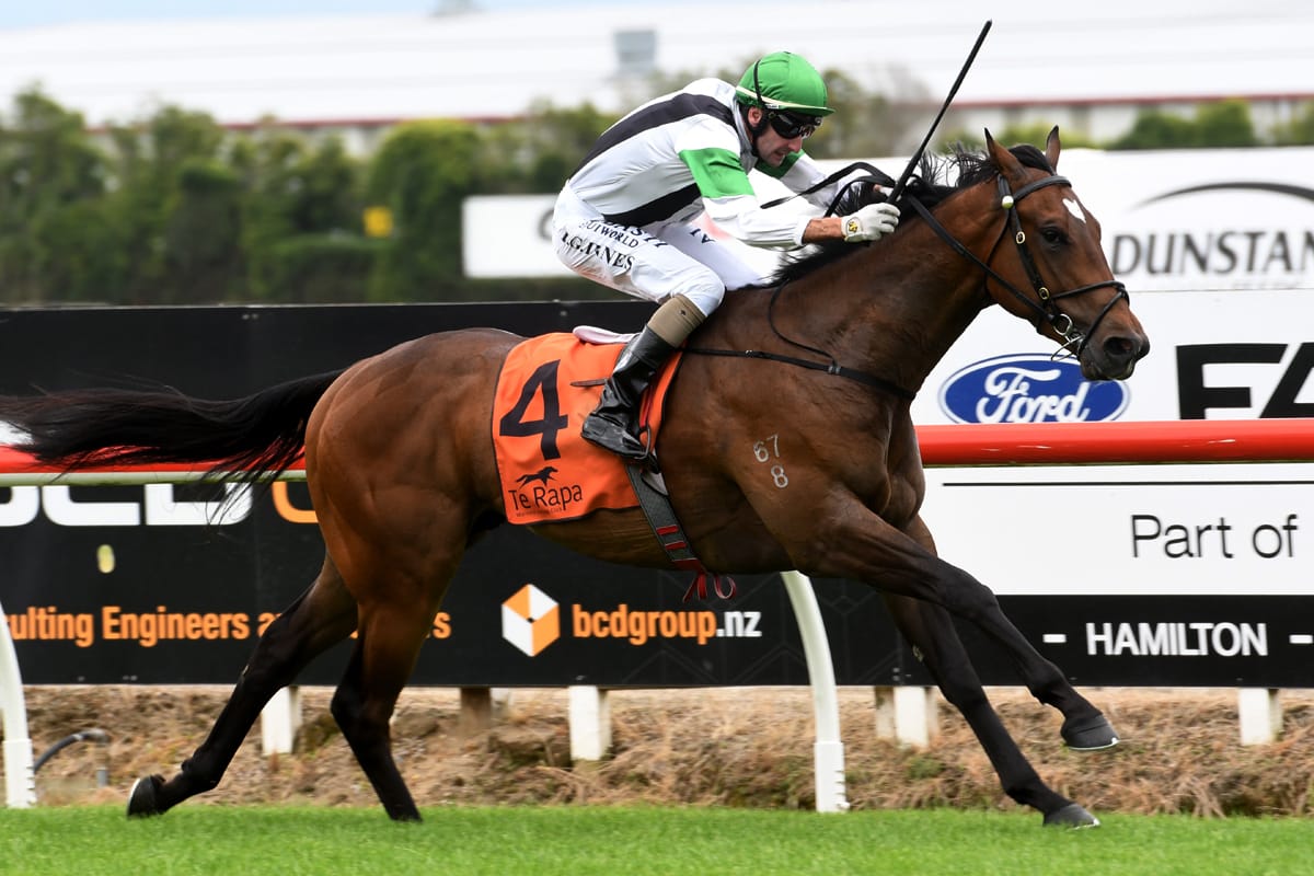 Hong Kong future for Scribe