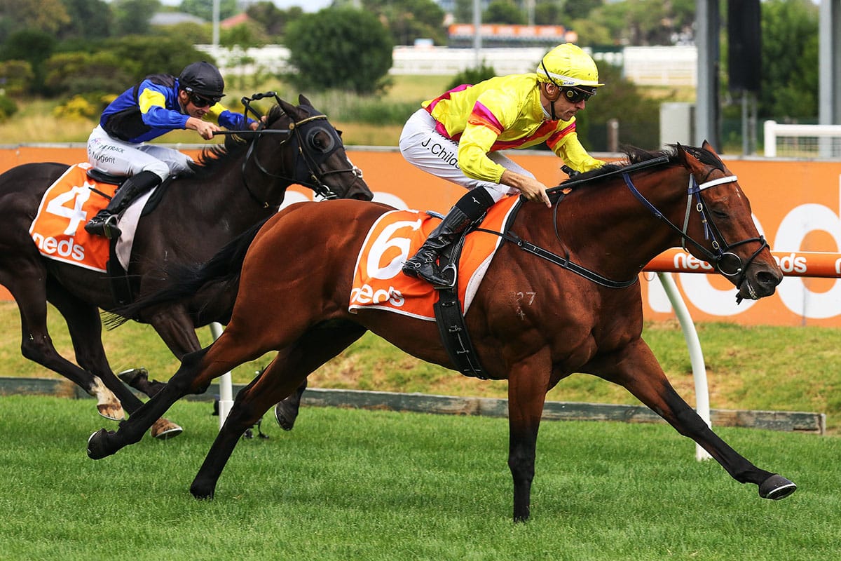 Ho Ho Khan wins Hobart Cup