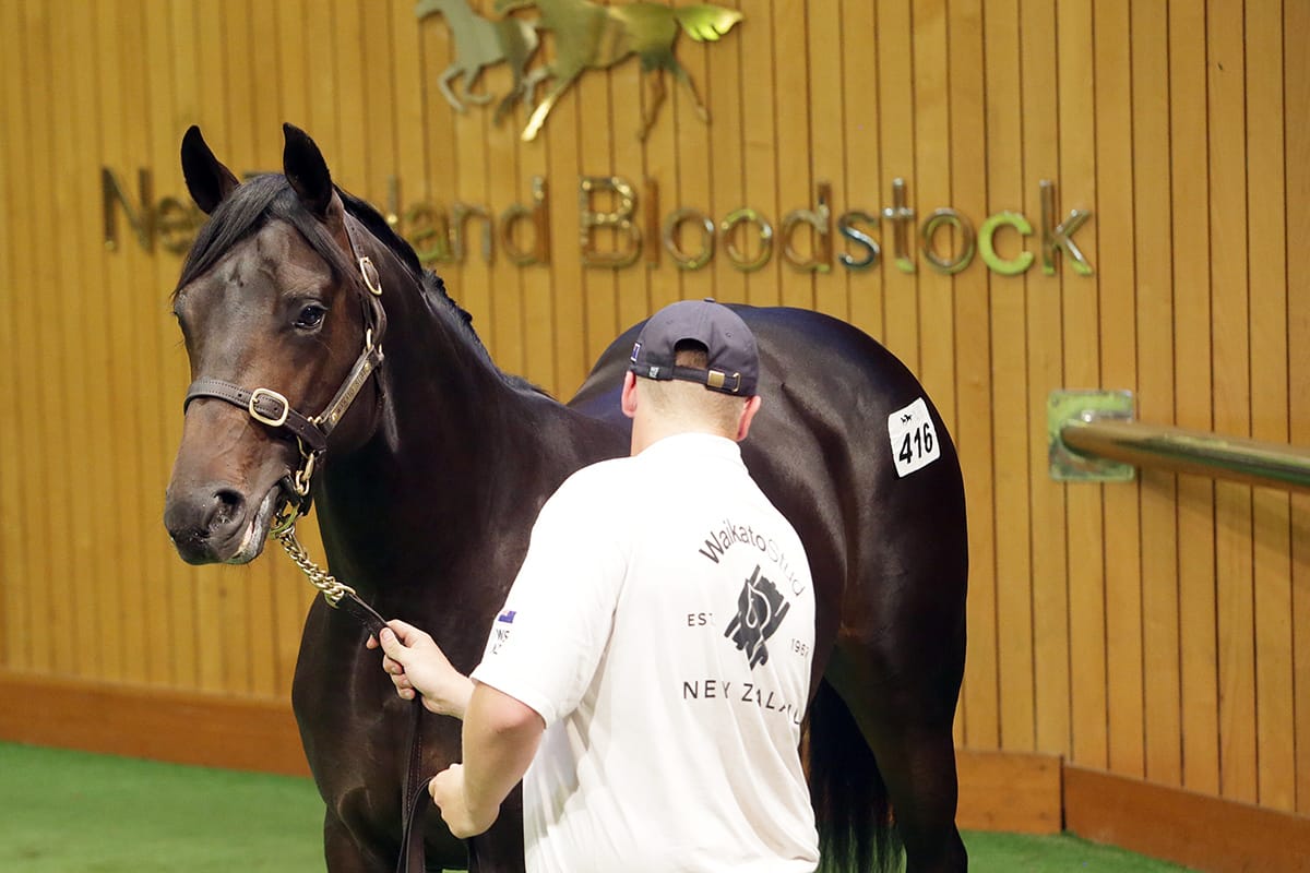 Karaka 2022 Online Bidding Registrations Open