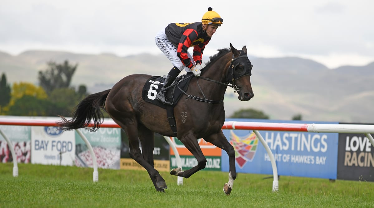 A Love Letter to Hastings