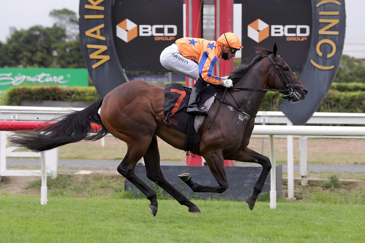 Maven Belle too strong in juvenile feature