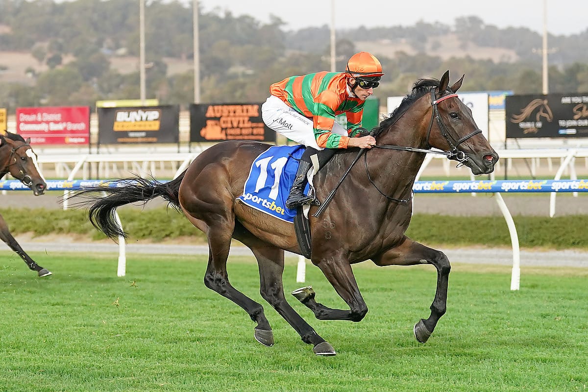 Bright future tipped for promising filly