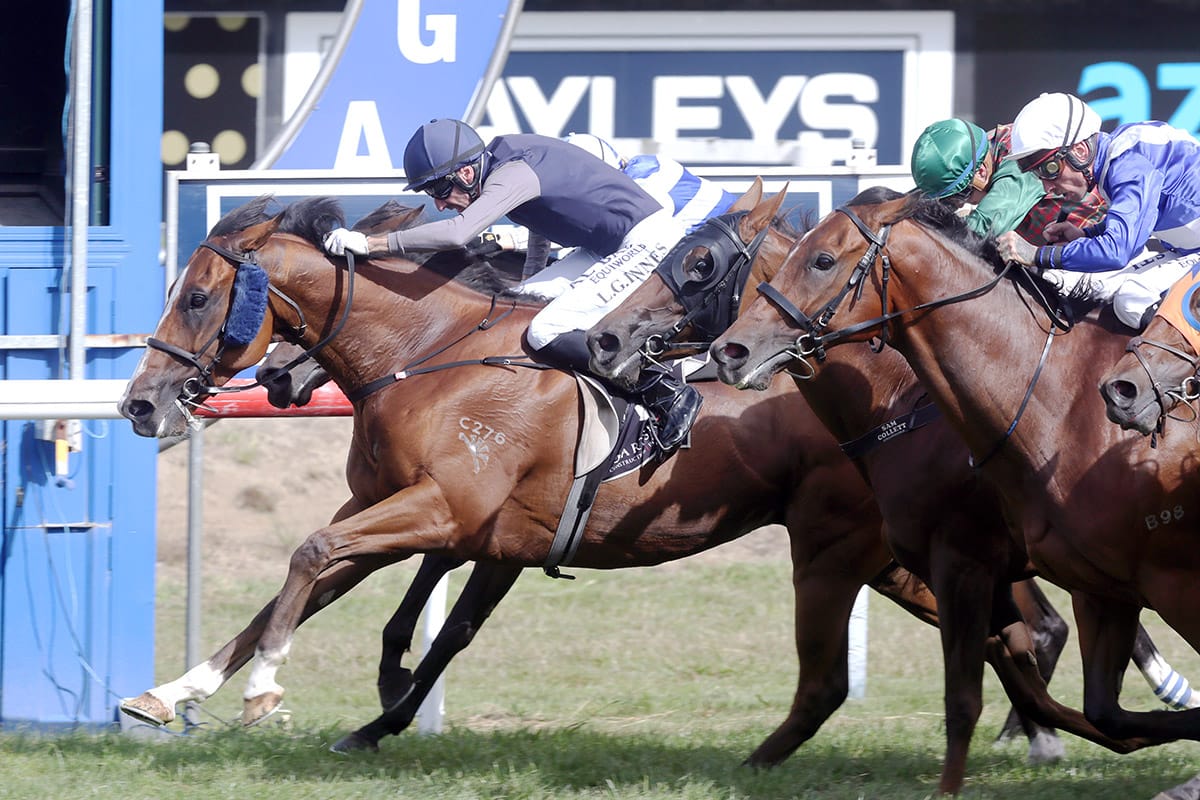 Spotlight on Rockstar in Group One mile