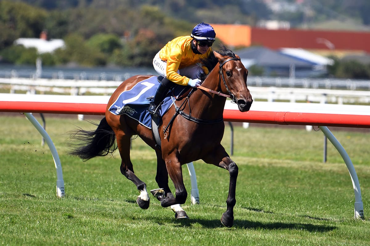 Perfect start for Savile Row